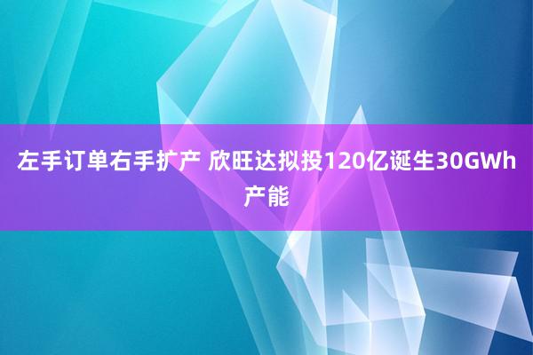 左手订单右手扩产 欣旺达拟投120亿诞生30GWh产能