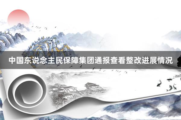 中国东说念主民保障集团通报查看整改进展情况