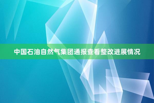 中国石油自然气集团通报查看整改进展情况