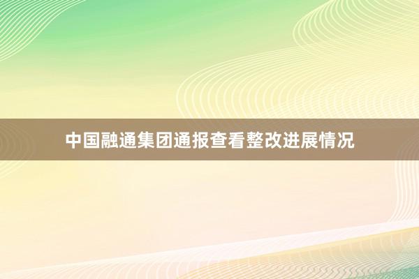 中国融通集团通报查看整改进展情况