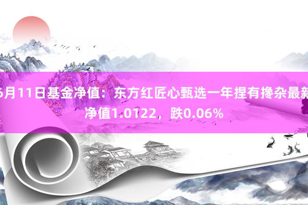 6月11日基金净值：东方红匠心甄选一年捏有搀杂最新净值1.0122，跌0.06%