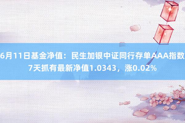 6月11日基金净值：民生加银中证同行存单AAA指数7天抓有最新净值1.0343，涨0.02%