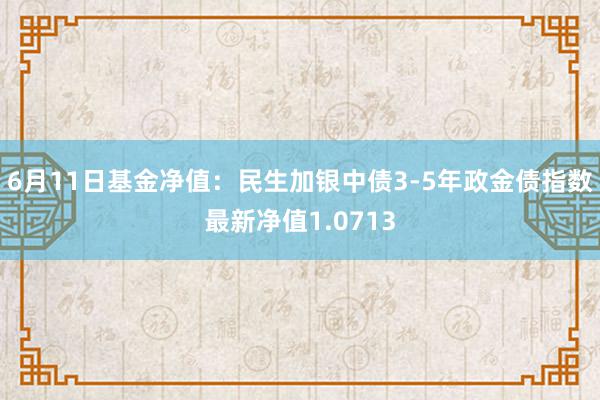 6月11日基金净值：民生加银中债3-5年政金债指数最新净值1.0713