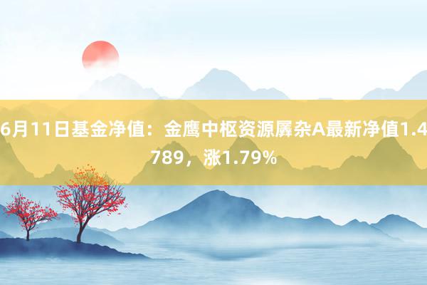 6月11日基金净值：金鹰中枢资源羼杂A最新净值1.4789，涨1.79%