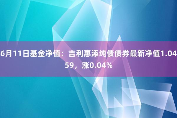 6月11日基金净值：吉利惠添纯债债券最新净值1.0459，涨0.04%