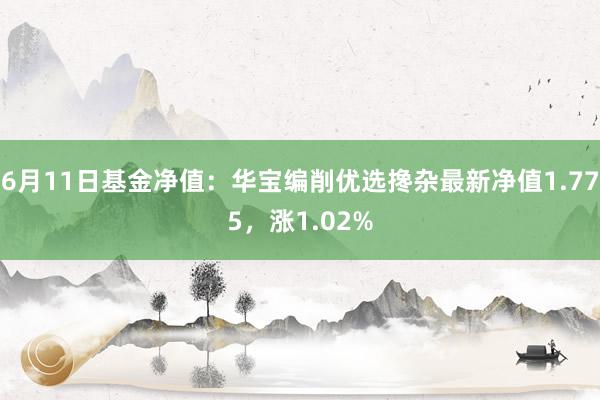 6月11日基金净值：华宝编削优选搀杂最新净值1.775，涨1.02%