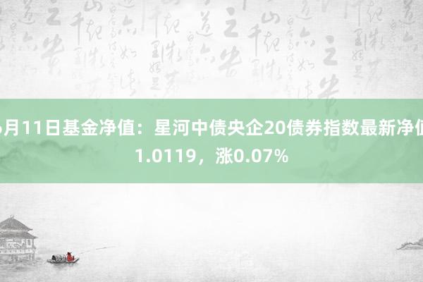 6月11日基金净值：星河中债央企20债券指数最新净值1.0119，涨0.07%