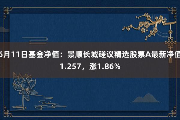 6月11日基金净值：景顺长城磋议精选股票A最新净值1.257，涨1.86%