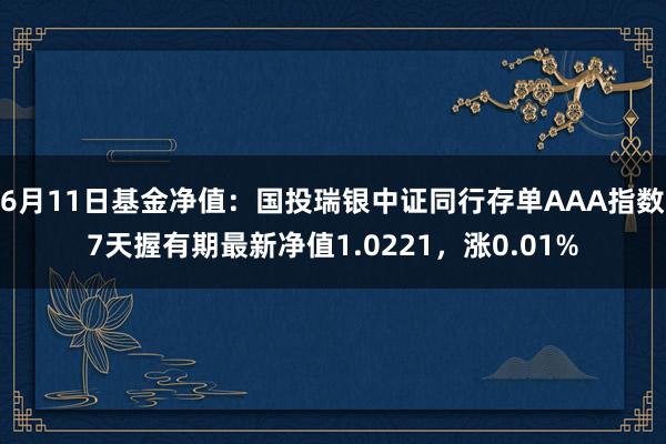 6月11日基金净值：国投瑞银中证同行存单AAA指数7天握有期最新净值1.0221，涨0.01%