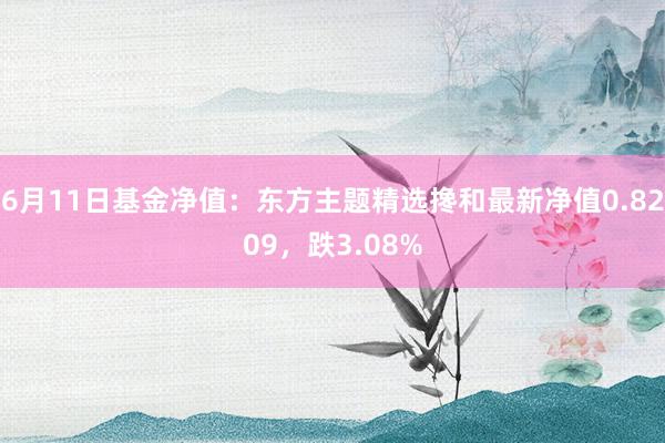 6月11日基金净值：东方主题精选搀和最新净值0.8209，跌3.08%