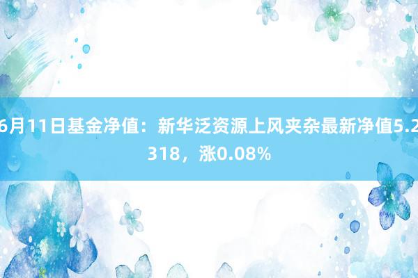 6月11日基金净值：新华泛资源上风夹杂最新净值5.2318，涨0.08%