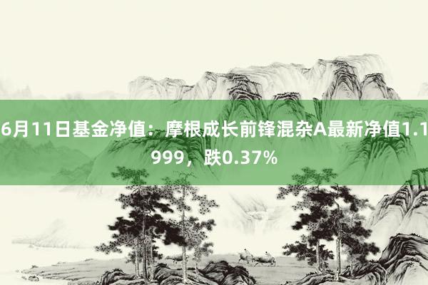 6月11日基金净值：摩根成长前锋混杂A最新净值1.1999，跌0.37%