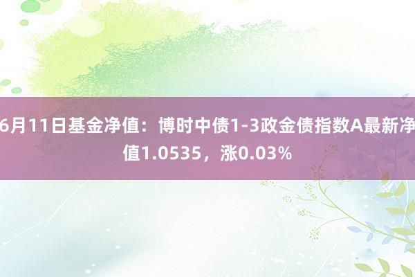 6月11日基金净值：博时中债1-3政金债指数A最新净值1.0535，涨0.03%