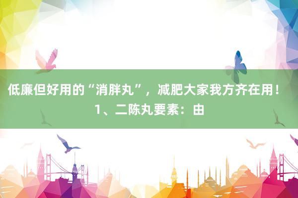 低廉但好用的“消胖丸”，减肥大家我方齐在用！ 1、二陈丸要素：由