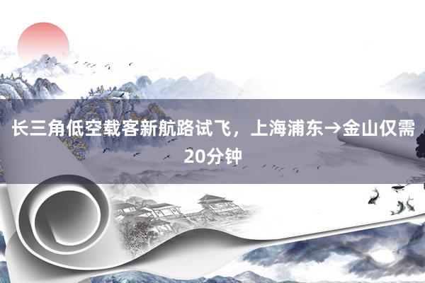 长三角低空载客新航路试飞，上海浦东→金山仅需20分钟