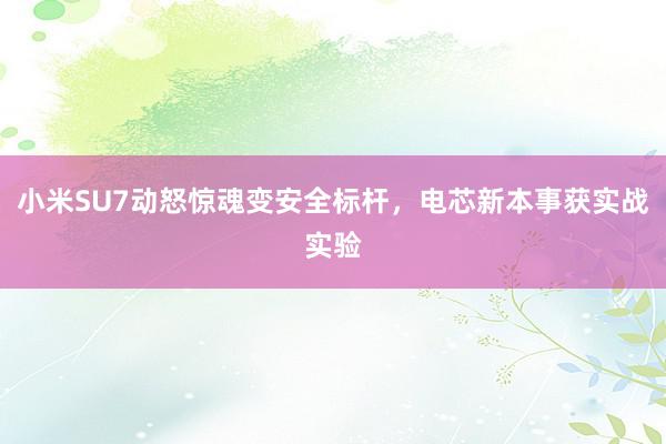 小米SU7动怒惊魂变安全标杆，电芯新本事获实战实验