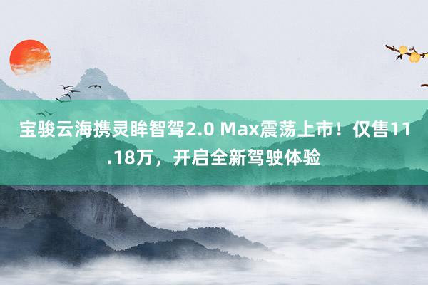 宝骏云海携灵眸智驾2.0 Max震荡上市！仅售11.18万，开启全新驾驶体验