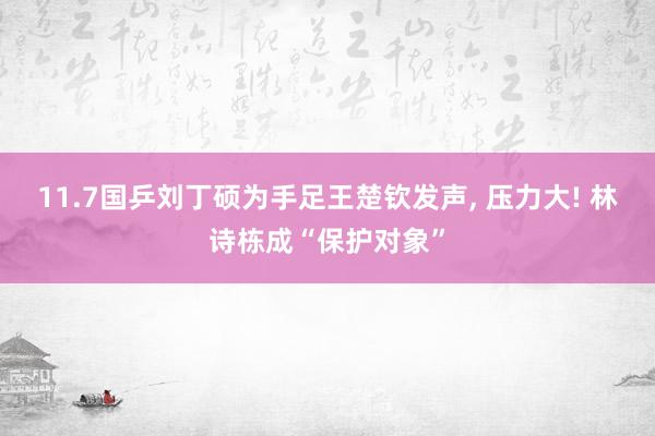 11.7国乒刘丁硕为手足王楚钦发声, 压力大! 林诗栋成“保护对象”